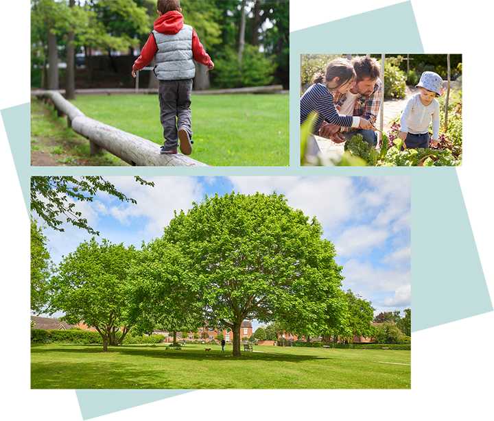 Collage of images showing people in various outdoor settings.